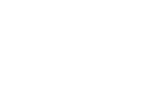 BOSS Snow Plows