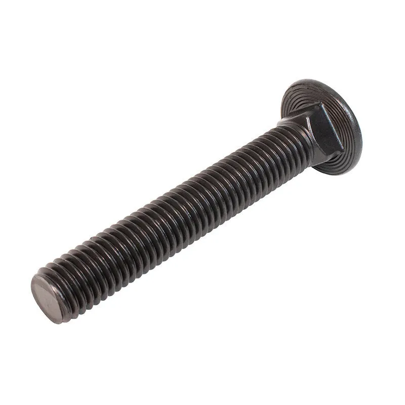 Carriage Bolts