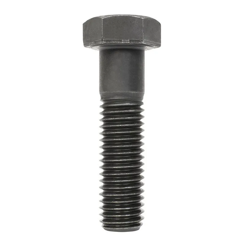 Hex Head Bolts
