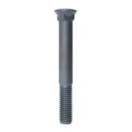Plow Bolt